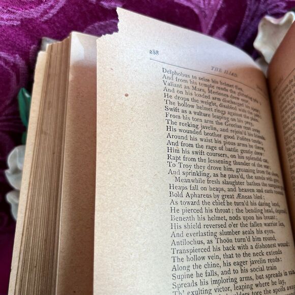 Ca 1890 The Iliad of Homer by Alexander Pope, Antique Book, Belford, Clarke & Co - Picture 7 of 10